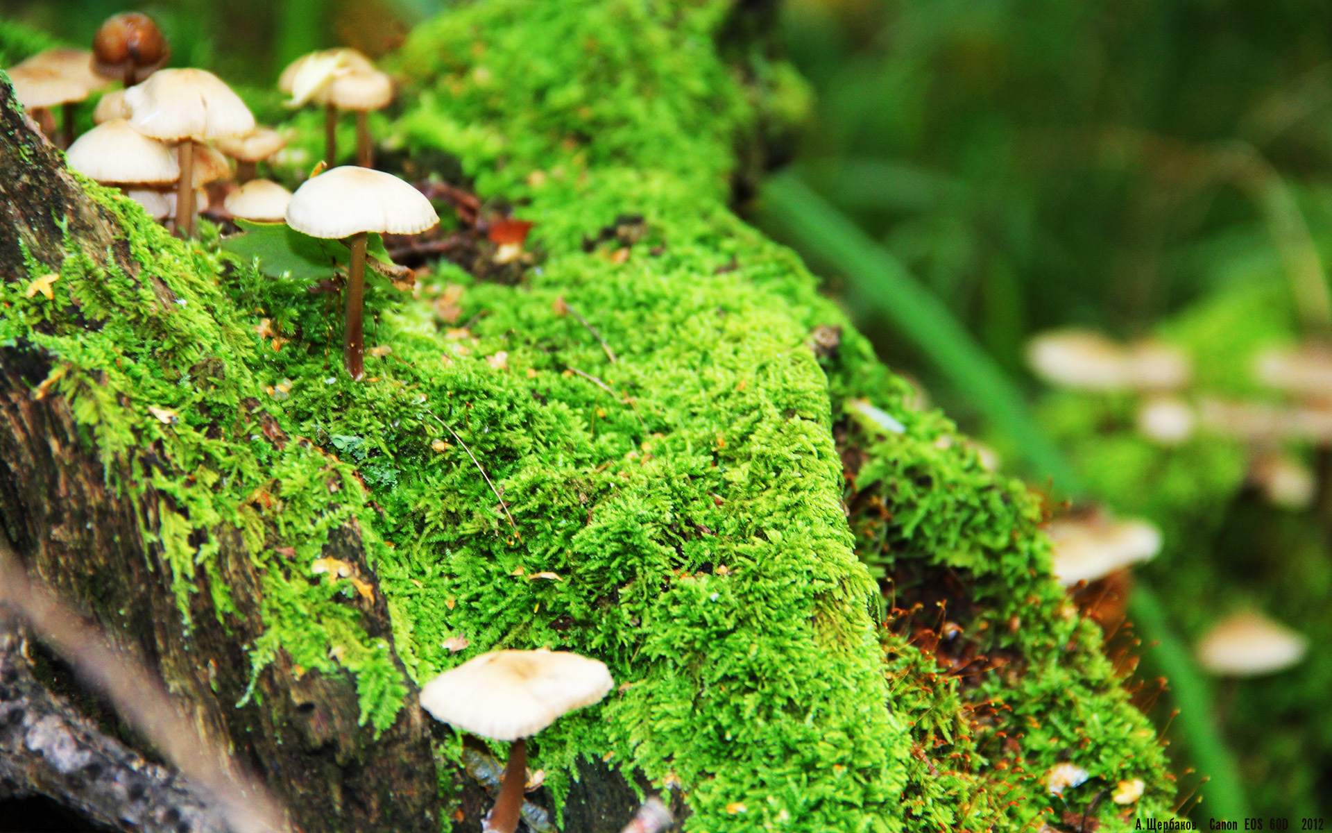 开云kaiyun-公益赛事层出不穷，用游戏温暖社会心灵，公益比赛项目