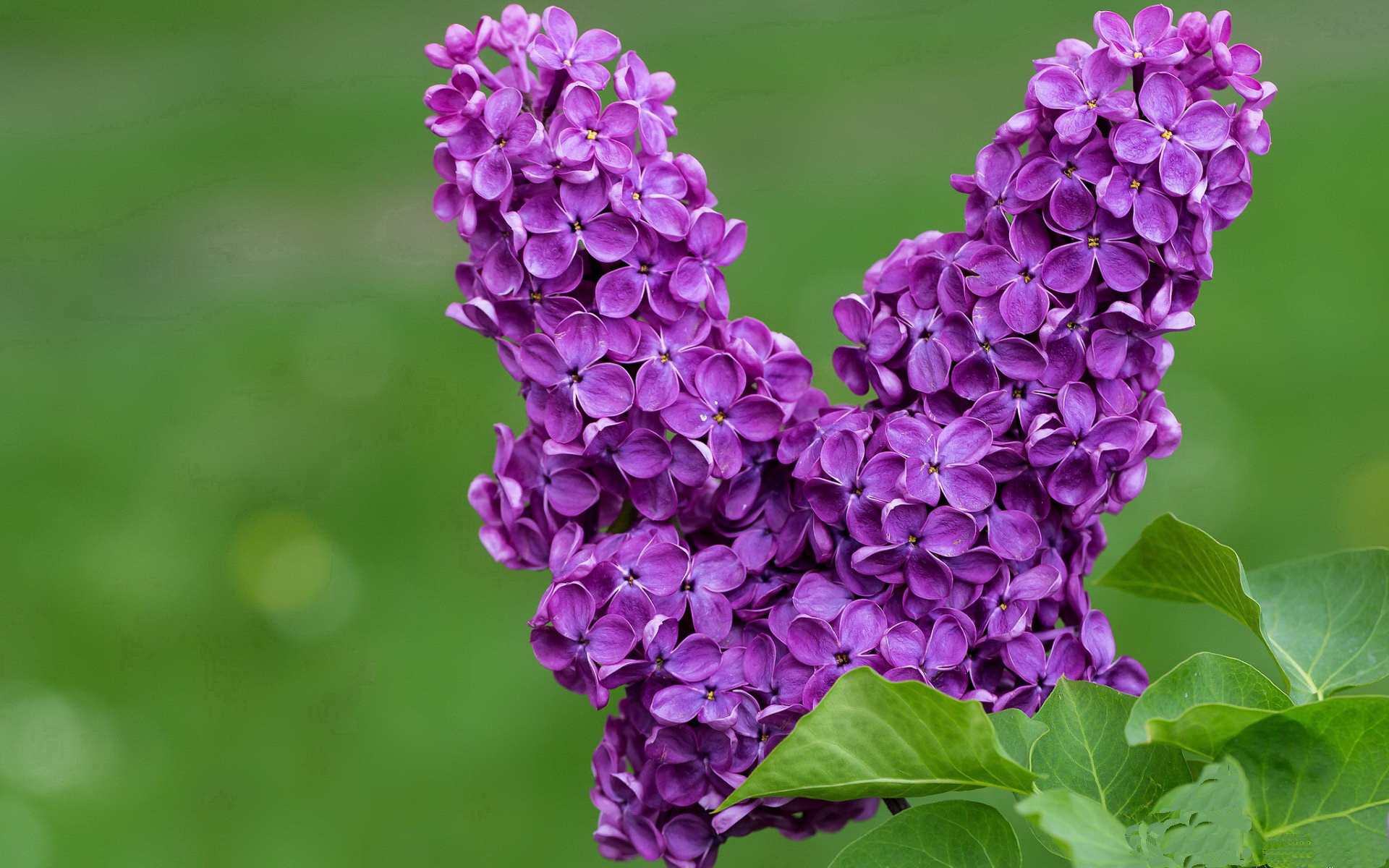 开云网站-球迷自制视频：年度最珍贵的瞬间合集，10佳球制作视频软件