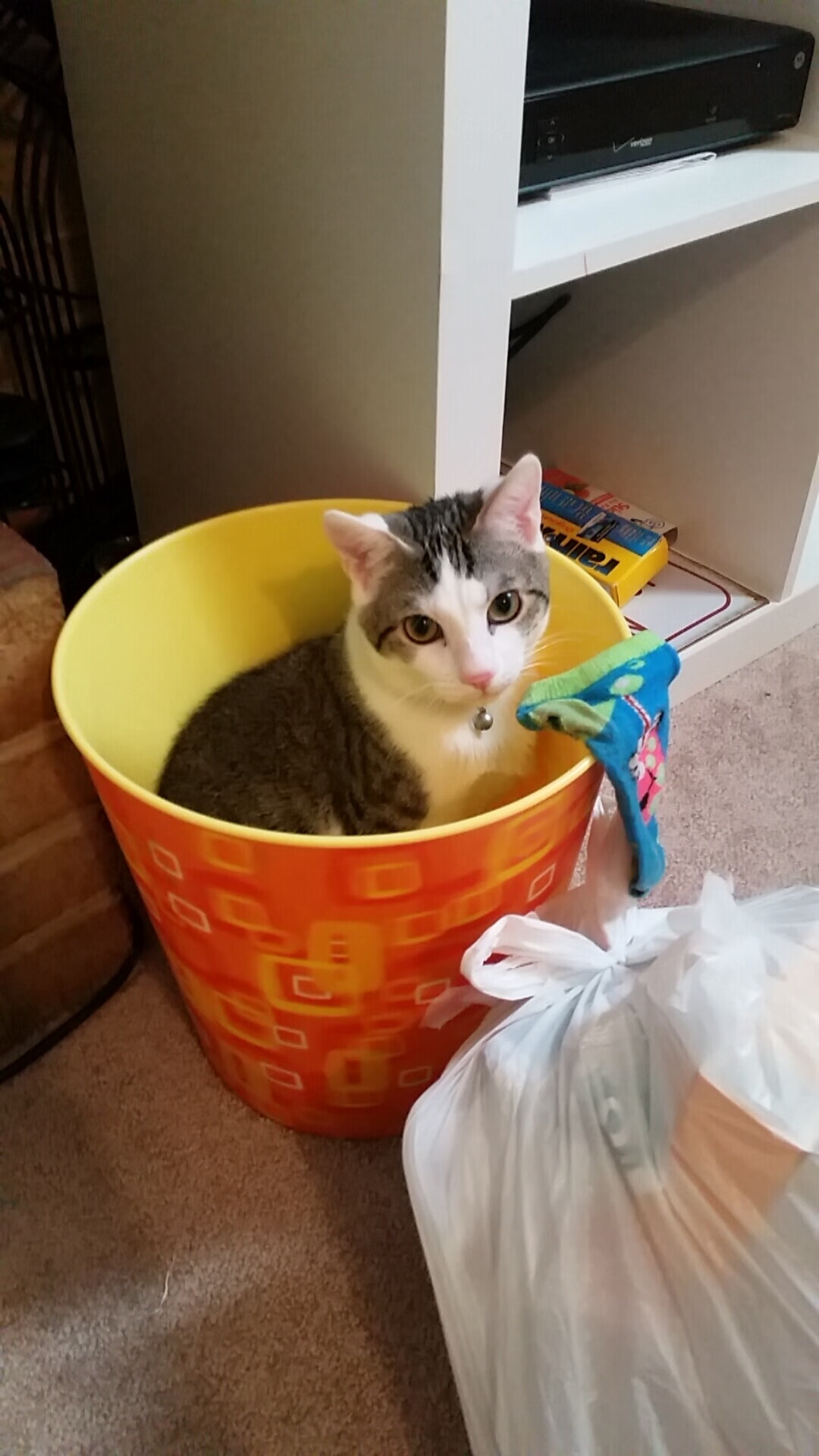 美国男足在巴黎奥运会比赛中以3-0战胜美国,美国男足vs巴西