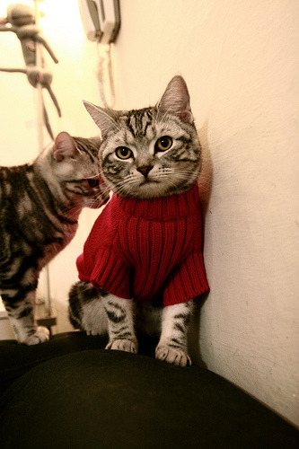 NBA球员冲突事件引发热议 联盟管理层面临挑战，nba冲突集锦