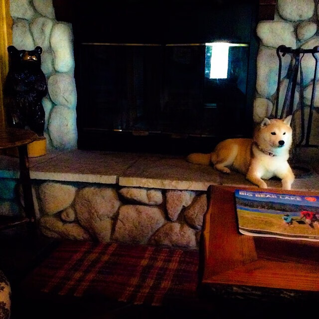 kaiyun中国官方网站-国际足球赛事中球员们努力奋斗，为胜利而战，国际足联对足球运动员规划规则