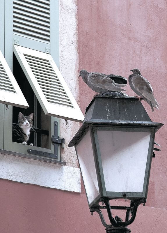 KAIYUNAPP-大比分差距下的比赛仍然引人入胜，大比分的作用