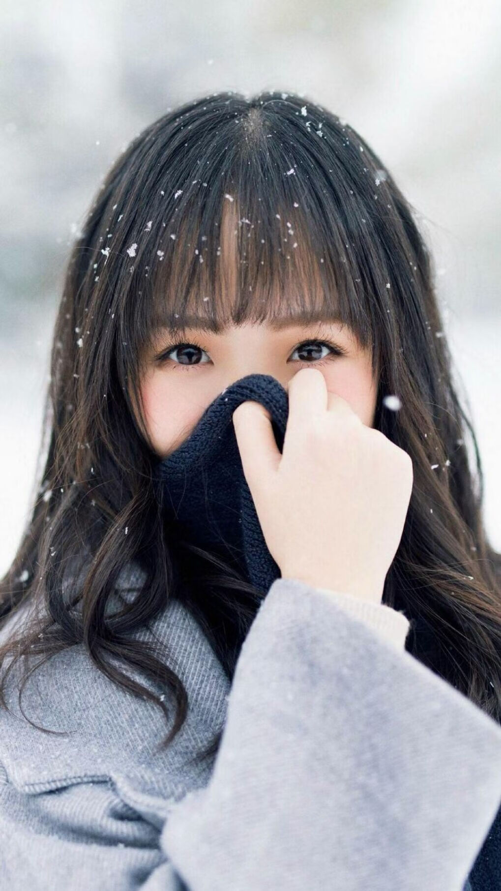 Kaiyun APP-川崎前锋锋线火力全开，川崎前锋logo