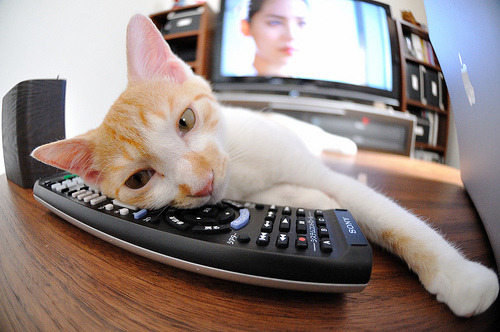 开云官方网页登录-弗拉门戈欧冠表现亮眼，弗拉门戈足球官网