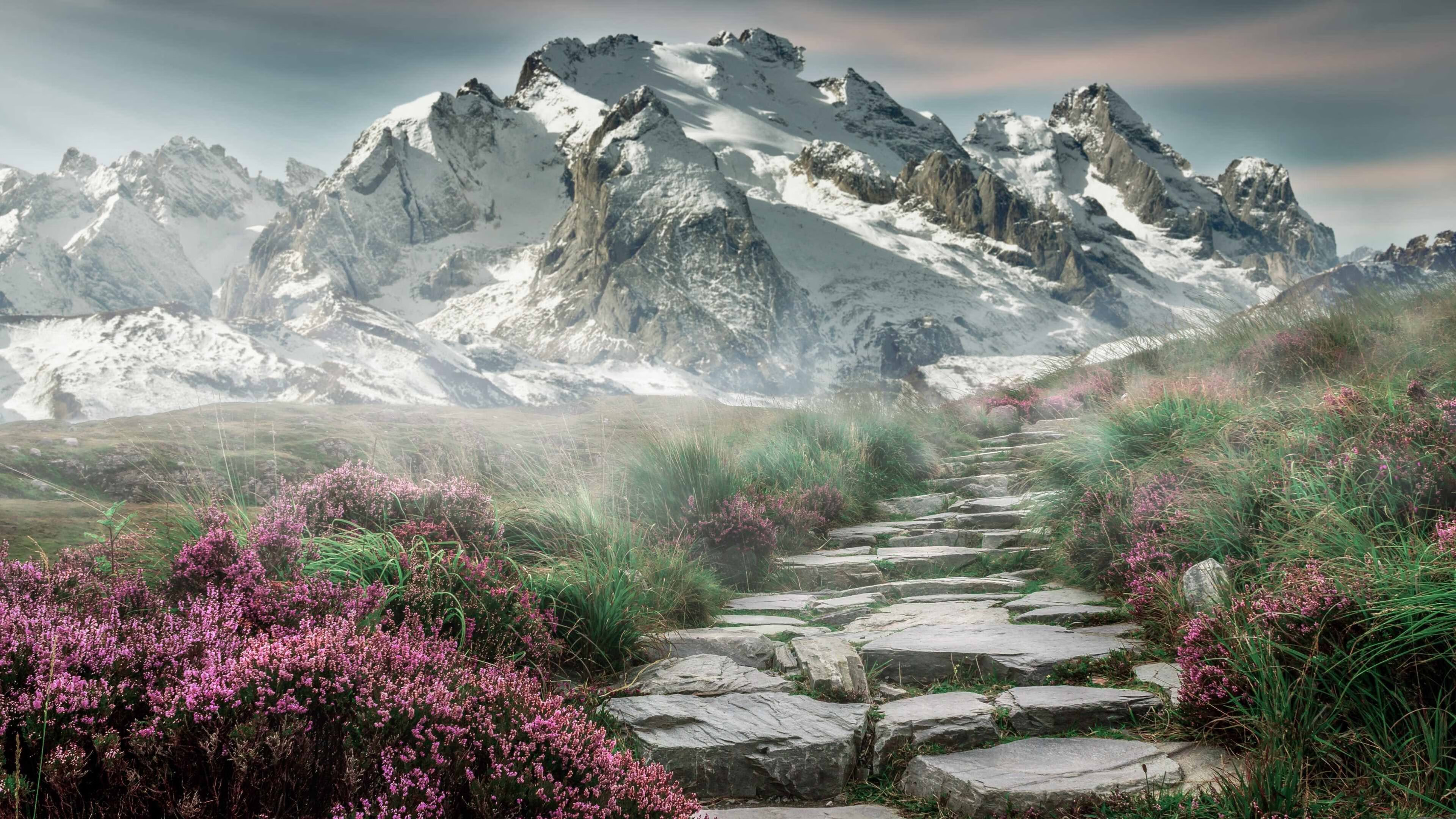 kaiyun开云·官方网站-球员是否应代表联盟出席国际公益峰会，球员是否应代表联盟出席国际公益峰会