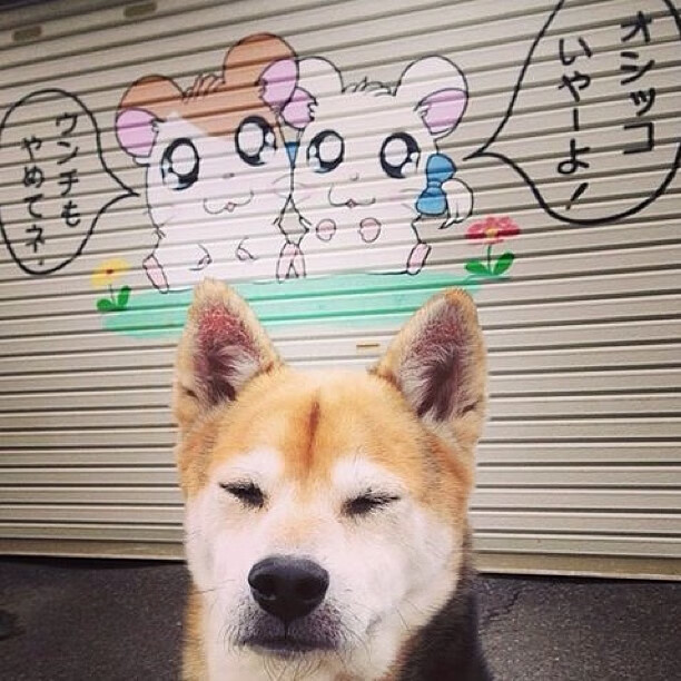 震撼足球门将三连扑上演神迹，足球连进3球叫什么