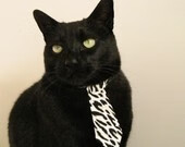 全国青少年击剑赛天津站圆满结束,2021年天津市青少年击剑俱乐部联赛