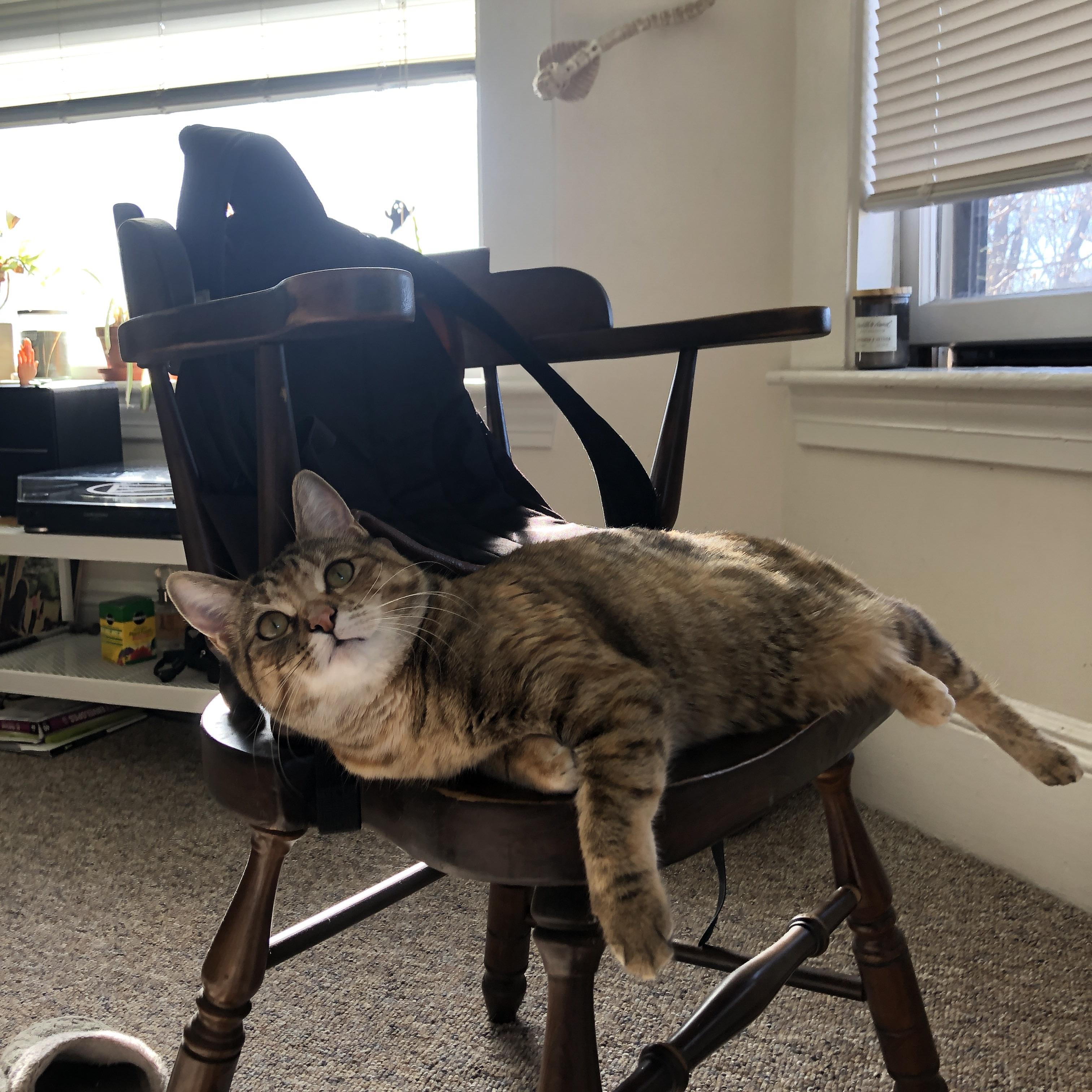 电子竞技:虚拟足球比赛的快速崛起,电子竞技的虚拟性