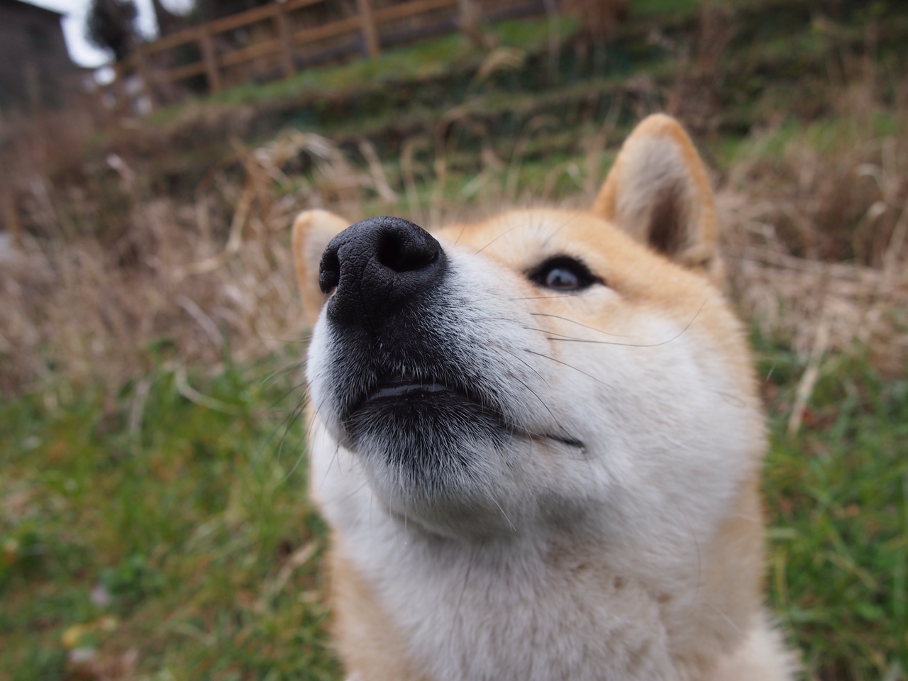 篮球运动员专项技能动作动作捕捉技术的系统开发,篮球动作技术要领