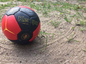 开云官方-英超球队基于运动表现数据调整赛中体能分配策略，英超球队规则