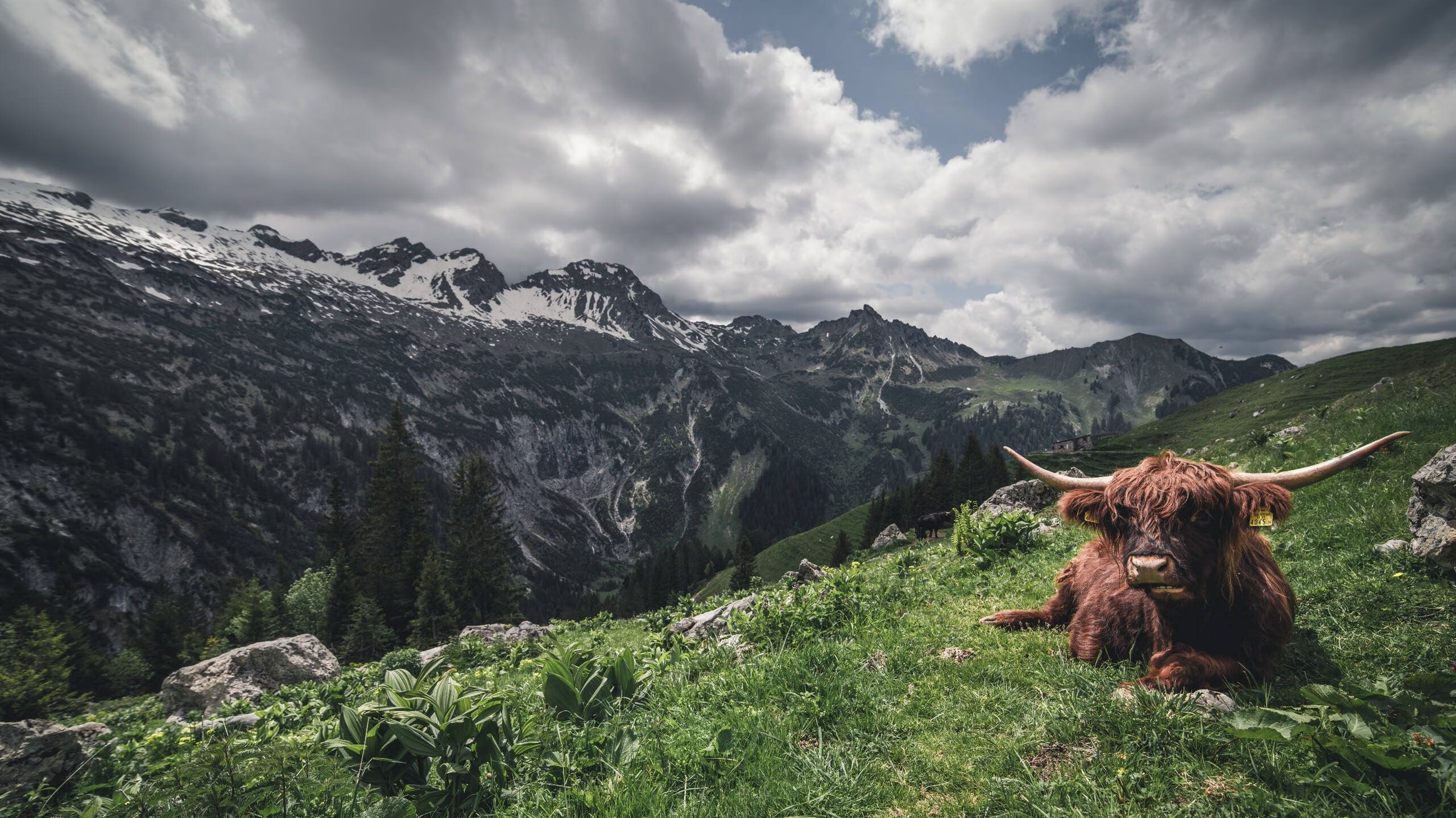 开云·体育官网-快攻战术节奏中第一步推进是否影响空位形成，快攻战术形式
