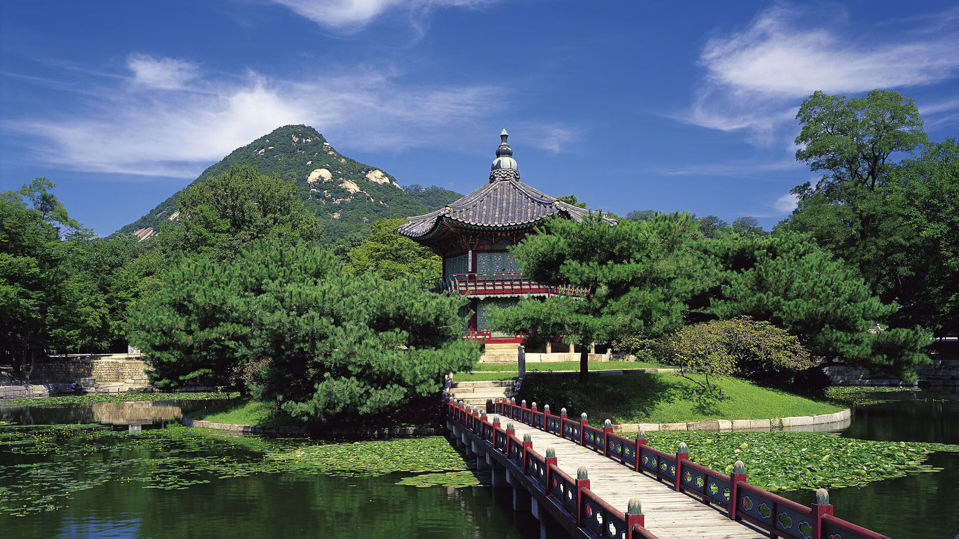 Kaiyun(中国)开云-德国新星刷新全国纪录，德国新生代球星