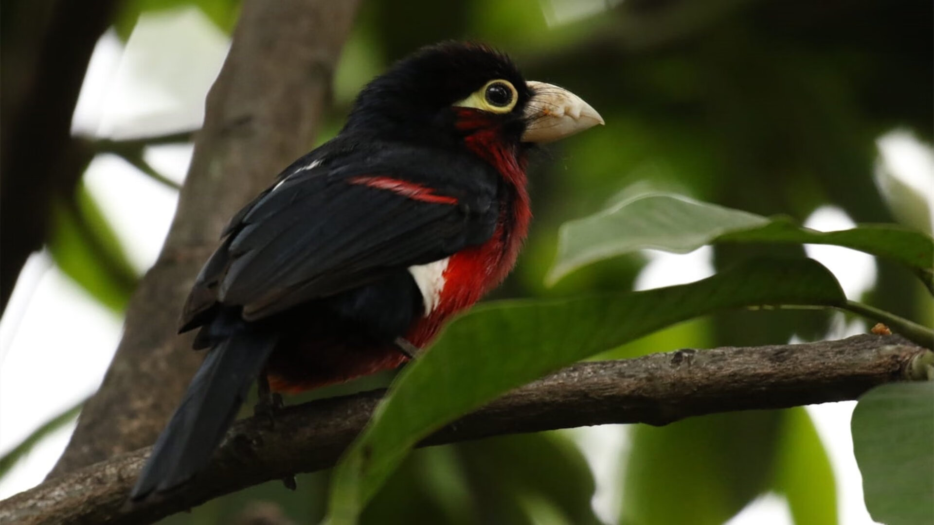 开云入口-球迷投票最希望看到的互动环节，mvp球迷投票