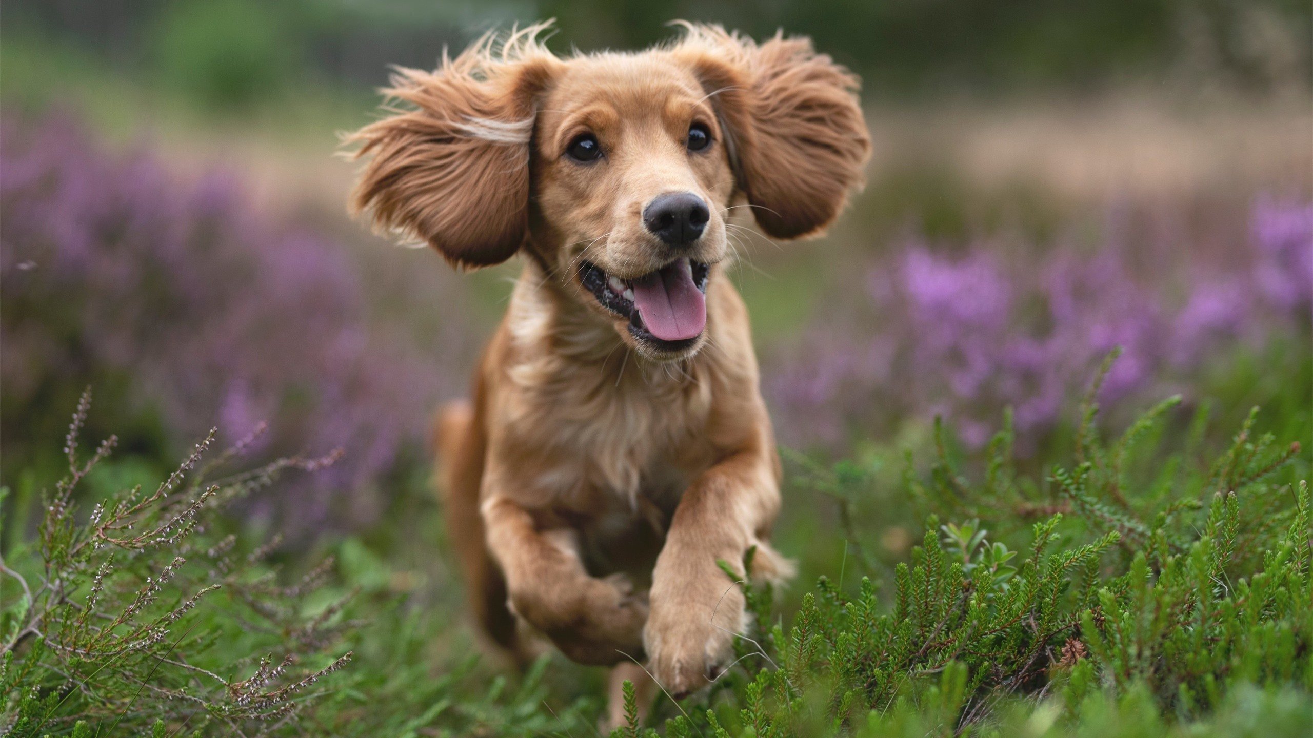 开云·体育官网-CBA加强球队技术交流促进联赛整体水平提升，cba球员训练