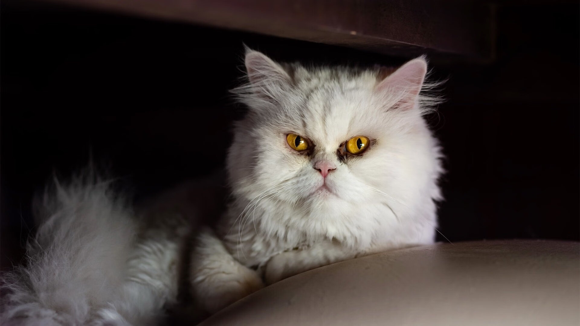 开云体育-中锋与边锋频频协作，快速进攻效果明显，中锋实战技巧