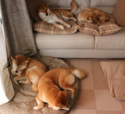 kaiyun体育综合-体育节目收视率节节攀升全民关注热情持续升温，搜一下体育节目