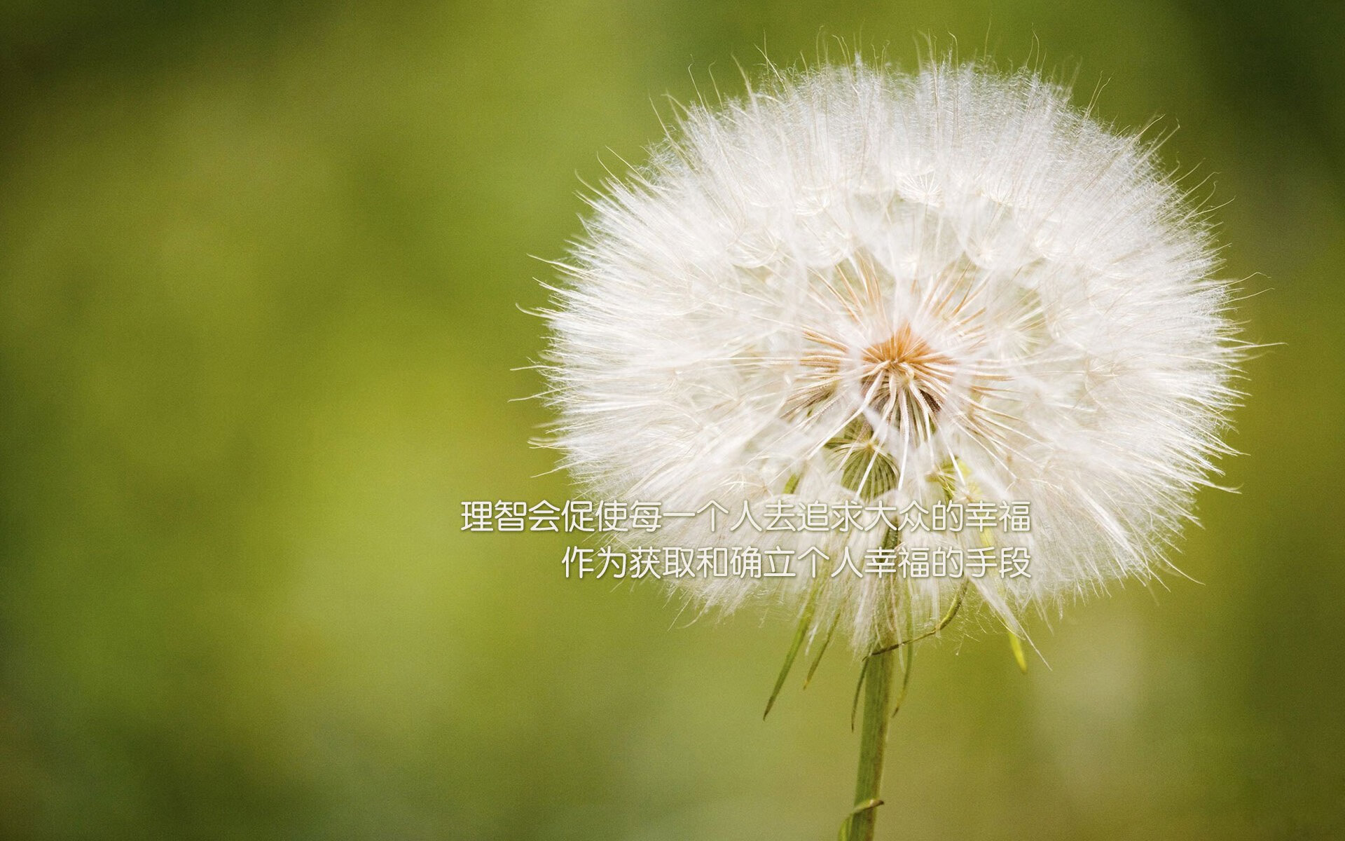 校园足球联赛首次实现省际直播观众互动踊跃，校园足球直播平台