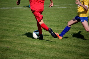 开云kaiyun-特色足球文化在国际博览会中亮相，展示国家软实力，世界足球文化