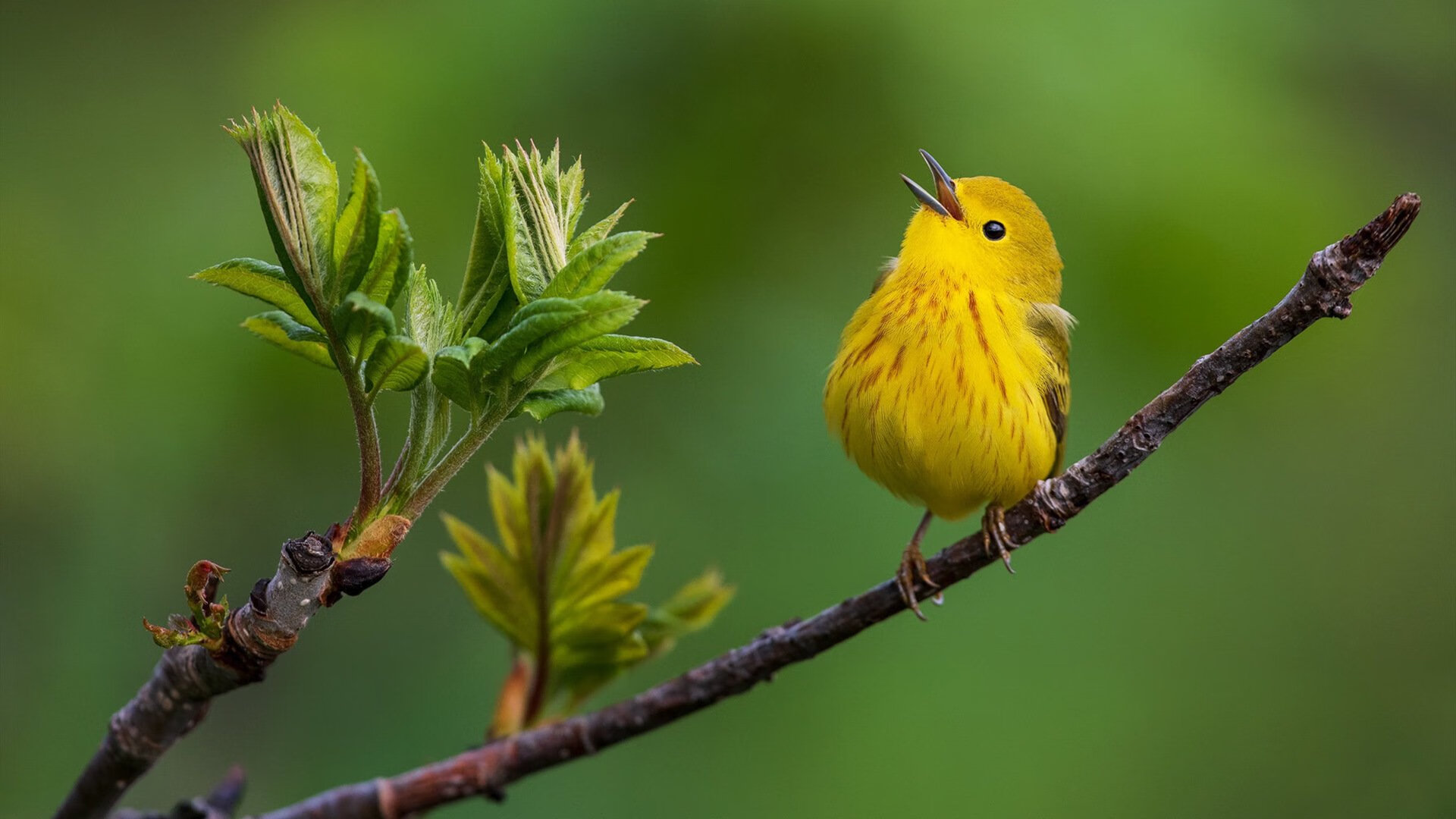 网球赛事社交平台话题热度持续攀升,网球球赛