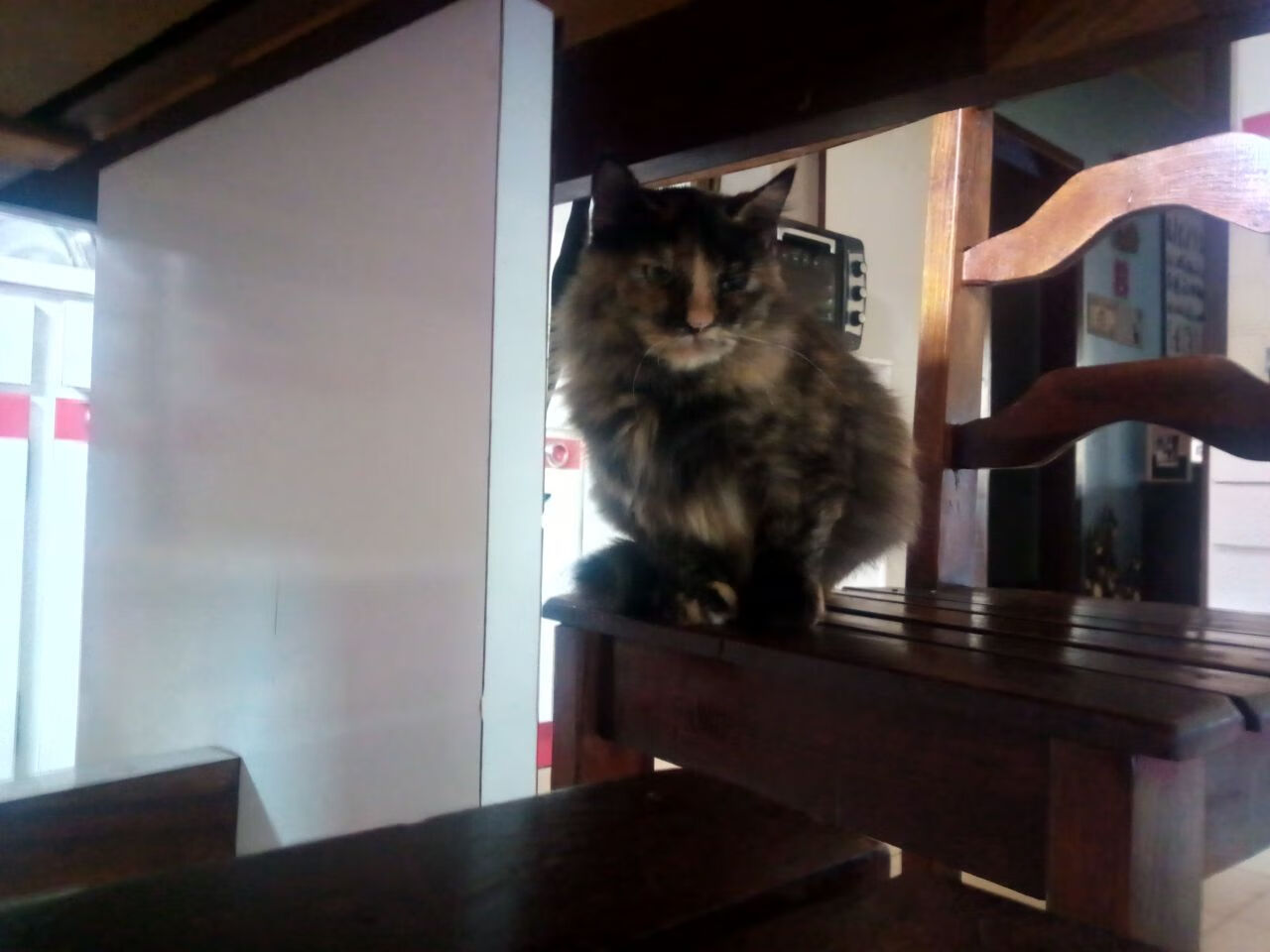 Kaiyun(中国)开云-艾哈迈德·贾瓦迪泳池内展现斗志，艾哈迈德·贾布里勒